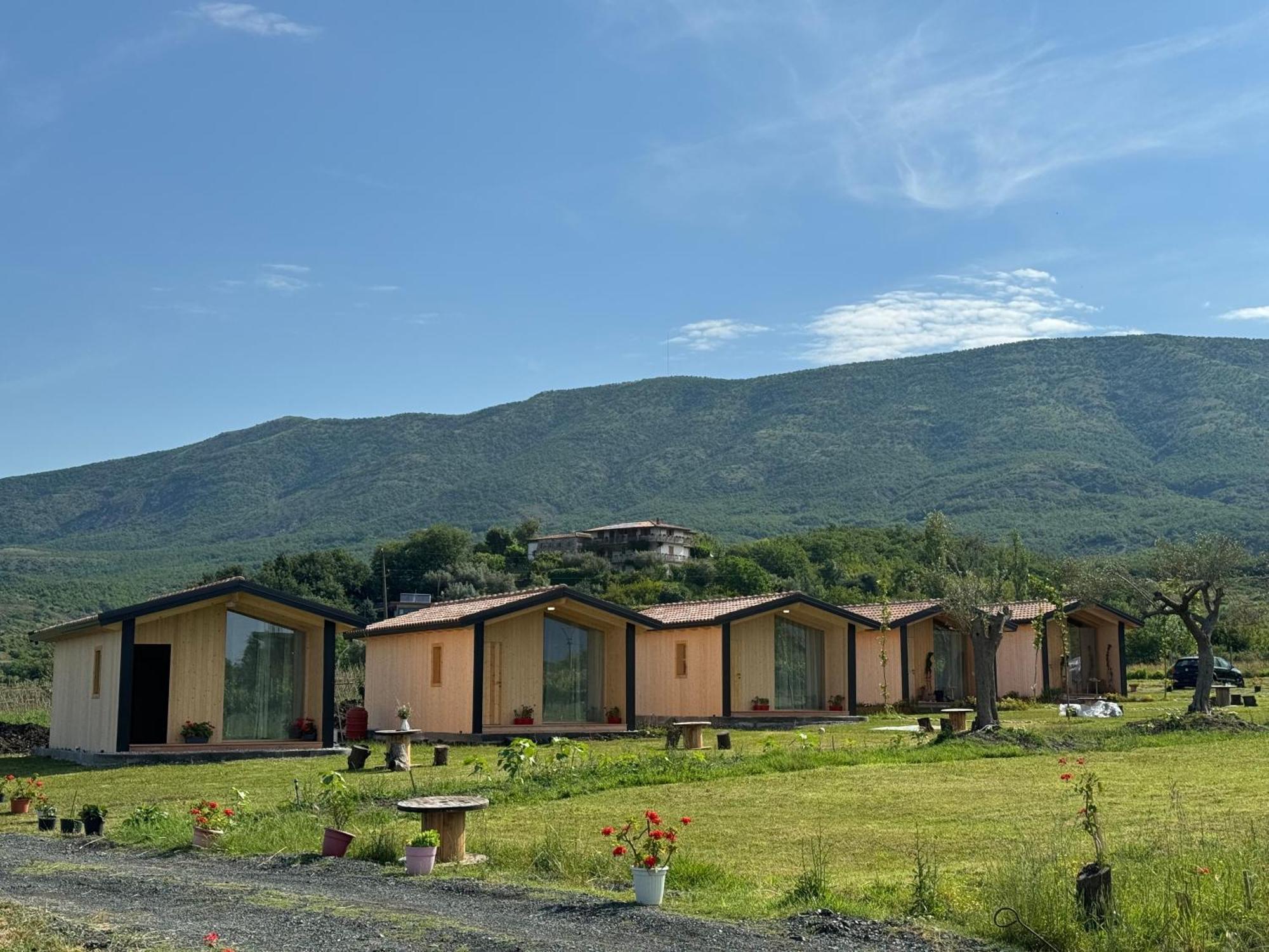 Fishta Guesthouse - Mrizi I Zanave Fishte Exterior foto